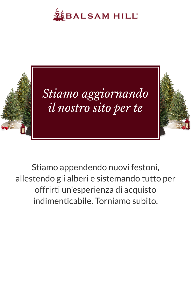 Immagine manutenzione