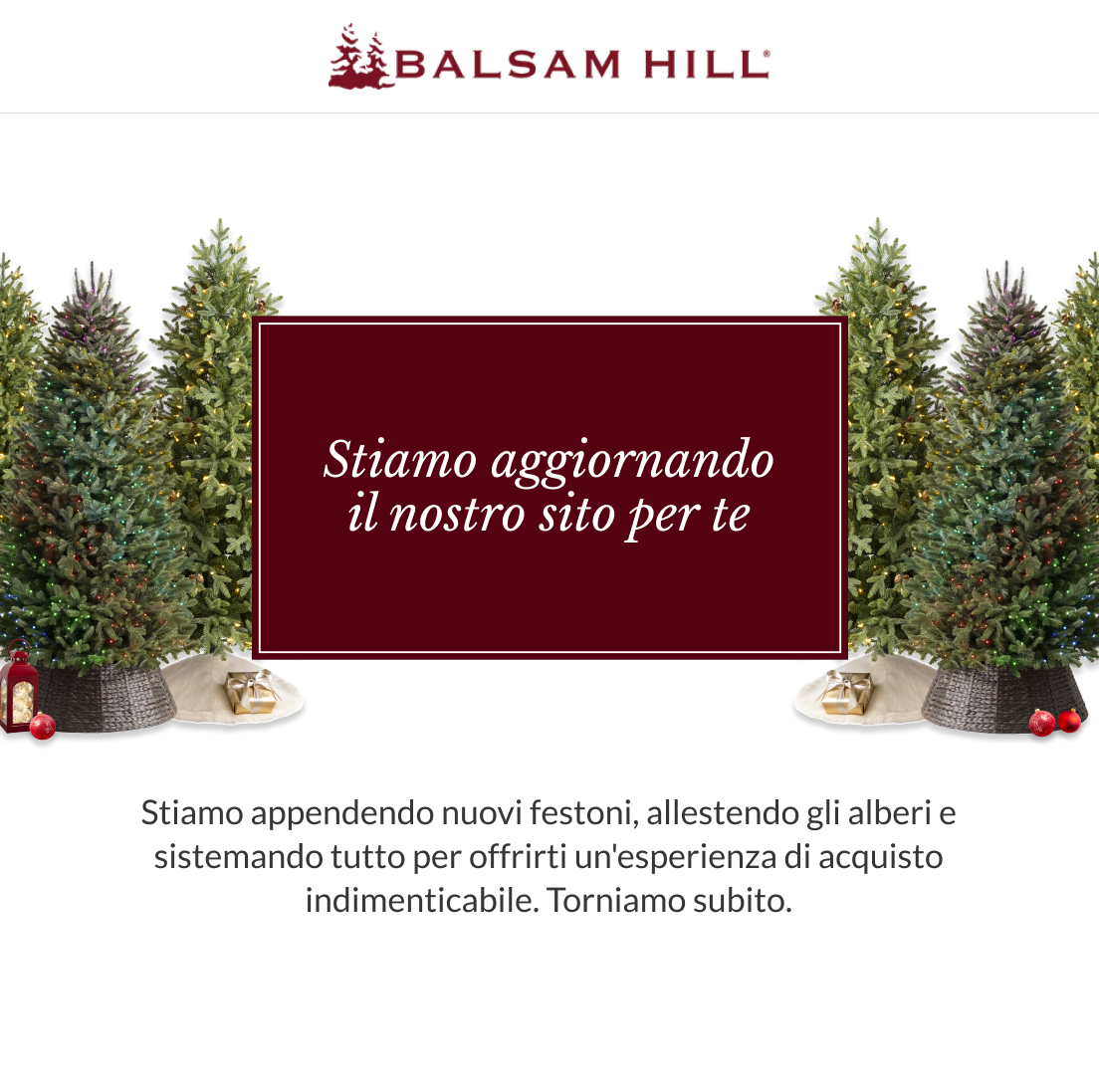 Immagine manutenzione