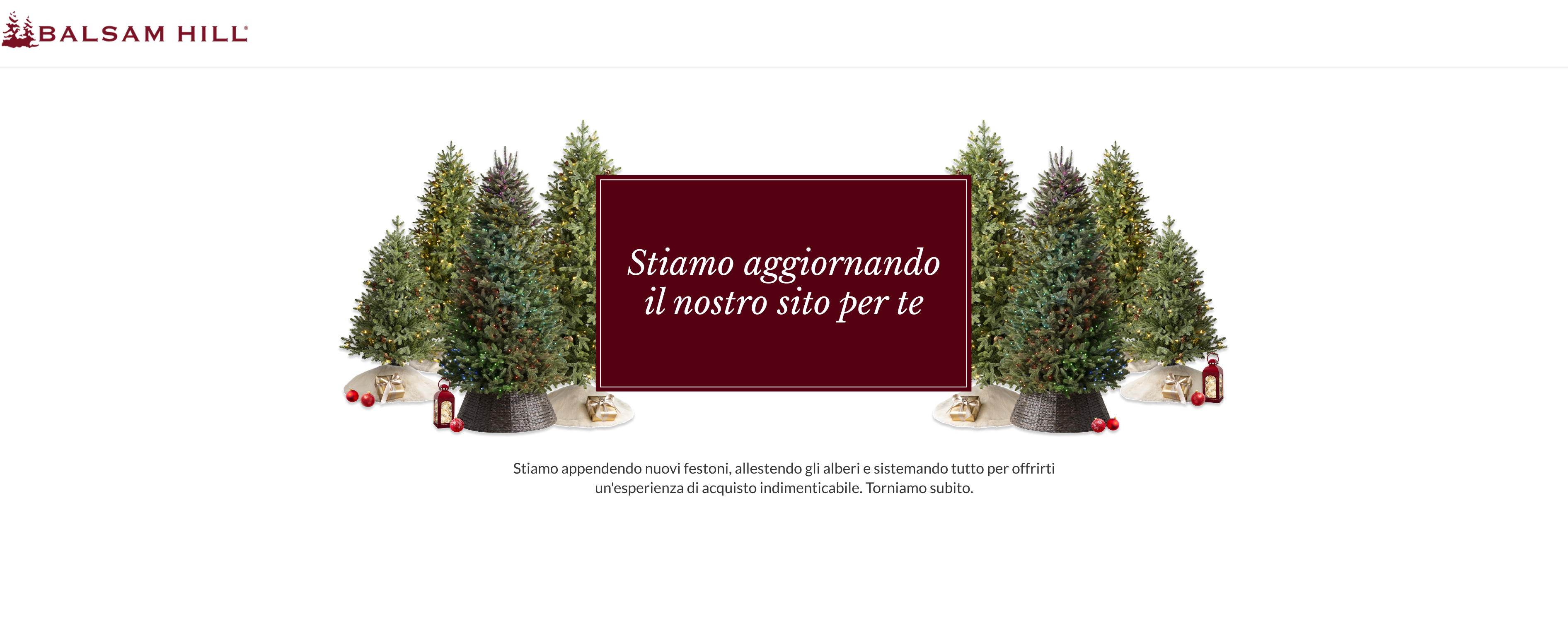 Immagine manutenzione